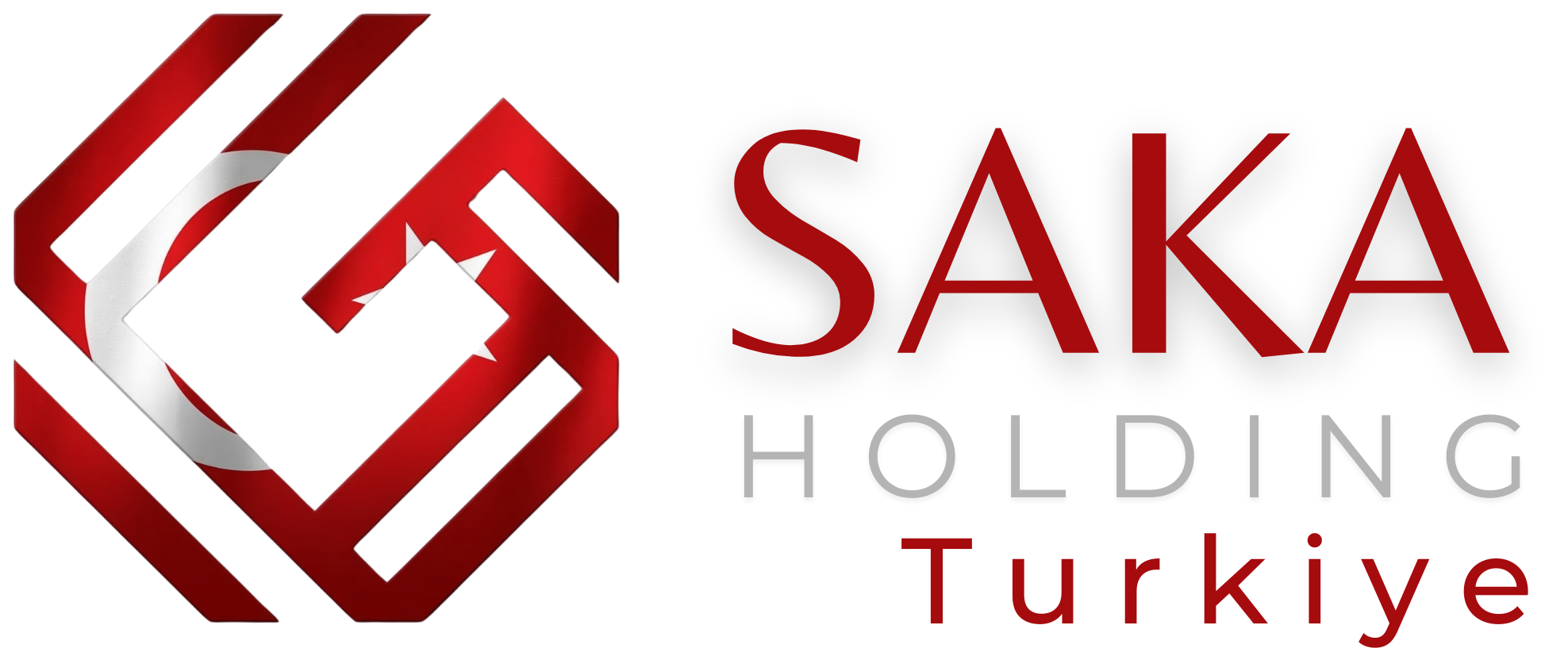 Saka Holding Türkiye Logo
