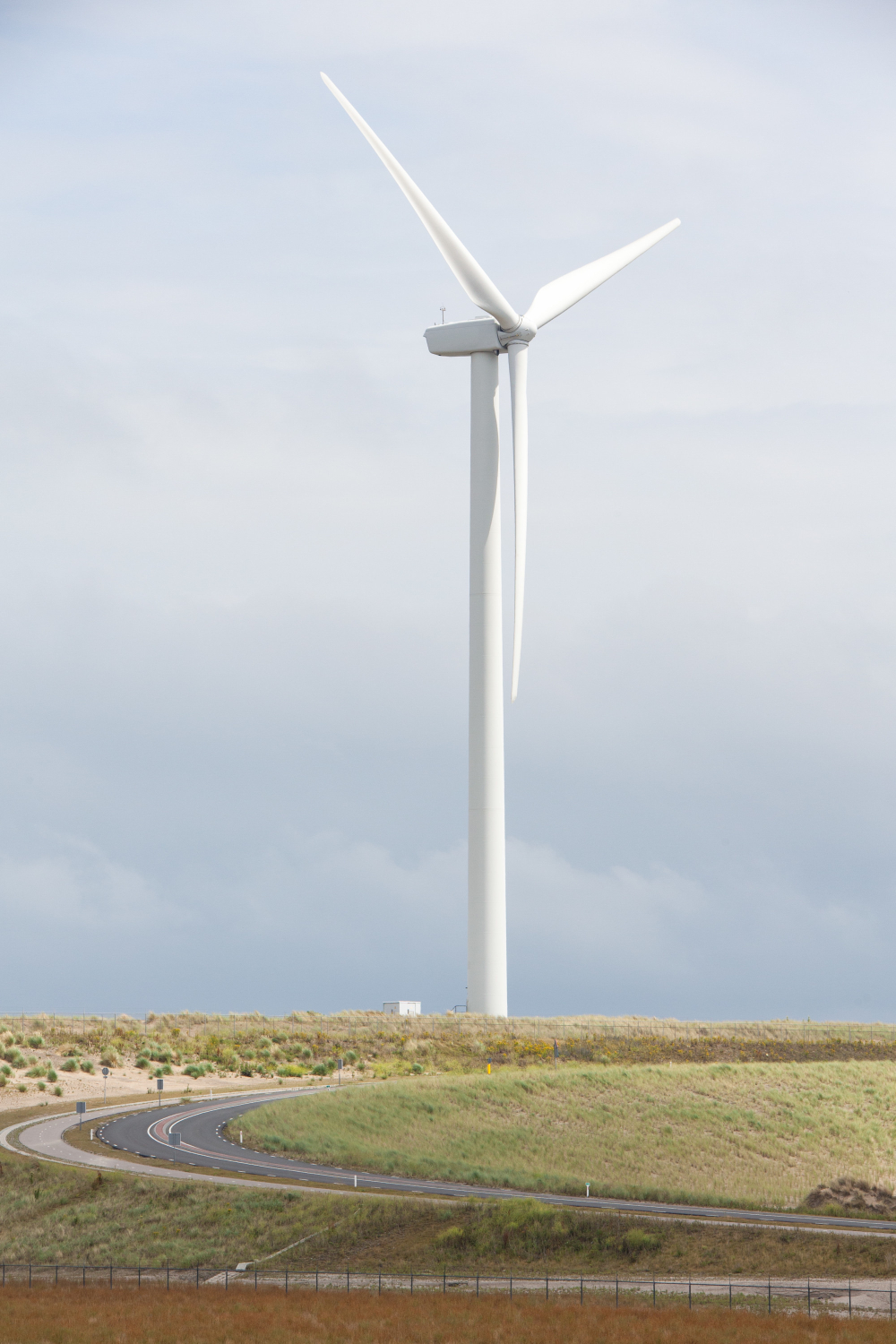 service image